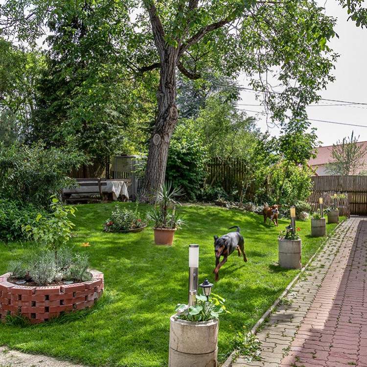 Foto vom Album Unser Tierhotel