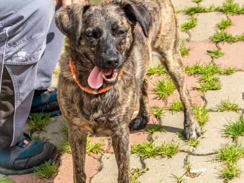 Vorschaubild 25 vom Album Unsere Hotelgäste