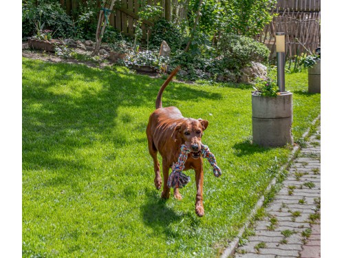 Vorschaubild 6 vom Album Unser Tierhotel