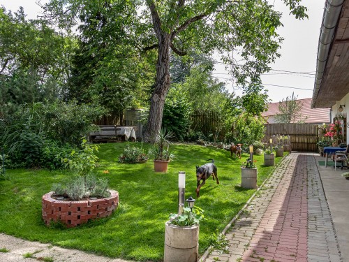 Vorschaubild 3 vom Album Unser Tierhotel