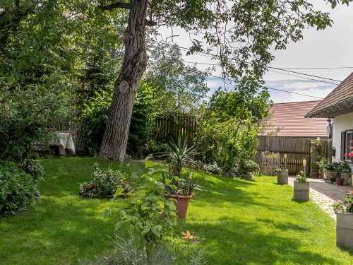 Vorschaubild 5 vom Album Unser Tierhotel