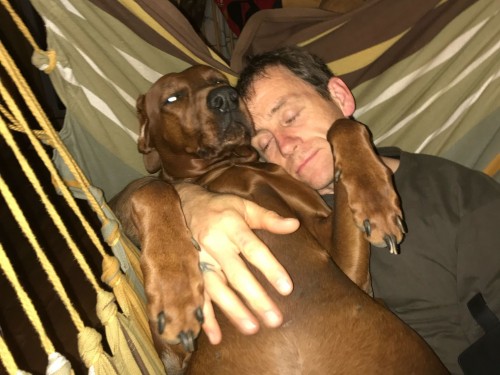 Vorschaubild 59 vom Album Die Hunde