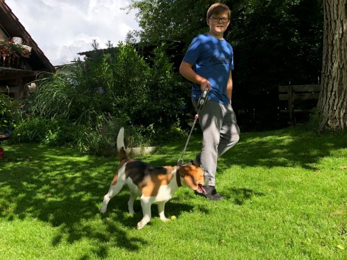 Vorschaubild 81 vom Album Die Hunde