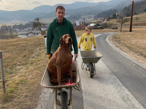 Vorschaubild 90 vom Album Die Hunde