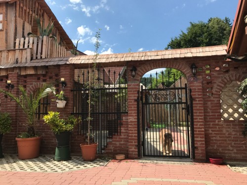 Vorschaubild 8 vom Album Unser Tierhotel