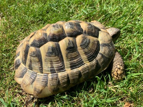 Vorschaubild 44 vom Album Unsere Hotelgäste